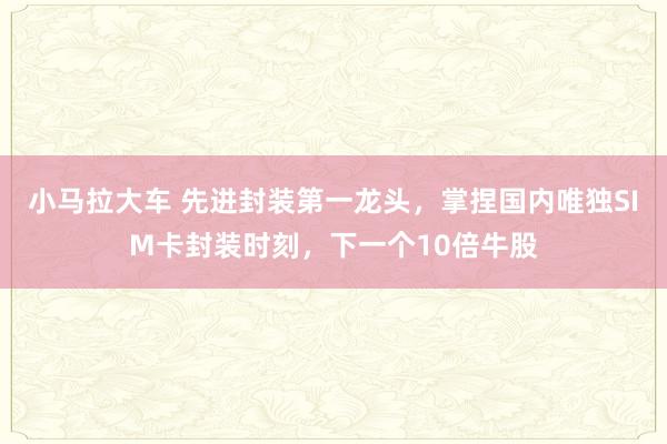 小马拉大车 先进封装第一龙头，掌捏国内唯独SIM卡封装时刻，下一个10倍牛股