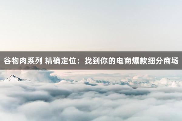 谷物肉系列 精确定位：找到你的电商爆款细分商场