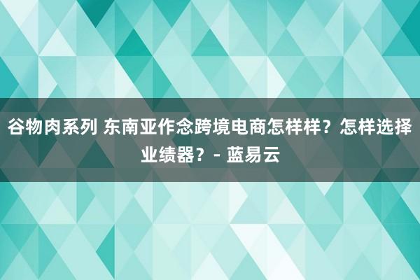谷物肉系列 东南亚作念跨境电商怎样样？怎样选择业绩器？- 蓝易云