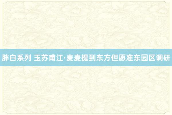 胖白系列 玉苏甫江·麦麦提到东方但愿准东园区调研
