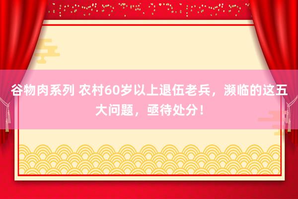 谷物肉系列 农村60岁以上退伍老兵，濒临的这五大问题，亟待处分！