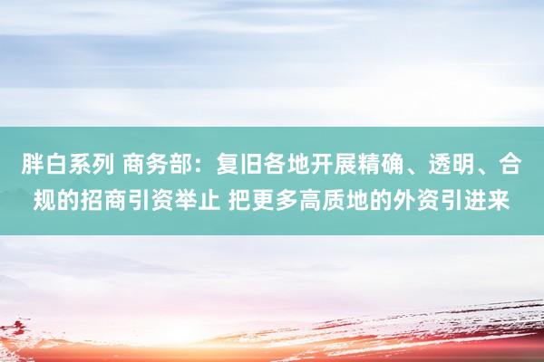 胖白系列 商务部：复旧各地开展精确、透明、合规的招商引资举止 把更多高质地的外资引进来