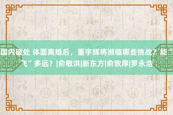 国内破处 体面离婚后，董宇辉将濒临哪些挑战？能“飞”多远？|俞敏洪|新东方|俞敦厚|罗永浩