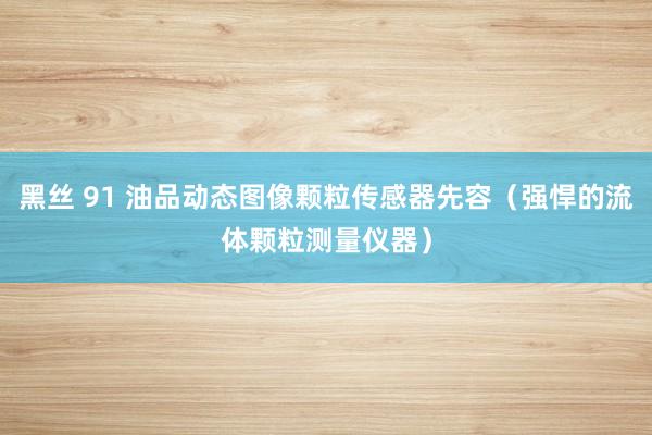 黑丝 91 油品动态图像颗粒传感器先容（强悍的流体颗粒测量仪器）