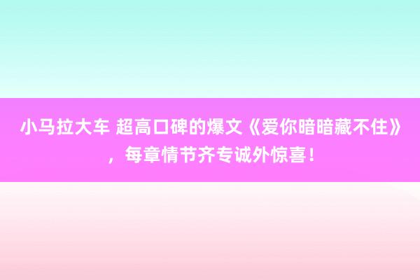 小马拉大车 超高口碑的爆文《爱你暗暗藏不住》，每章情节齐专诚外惊喜！