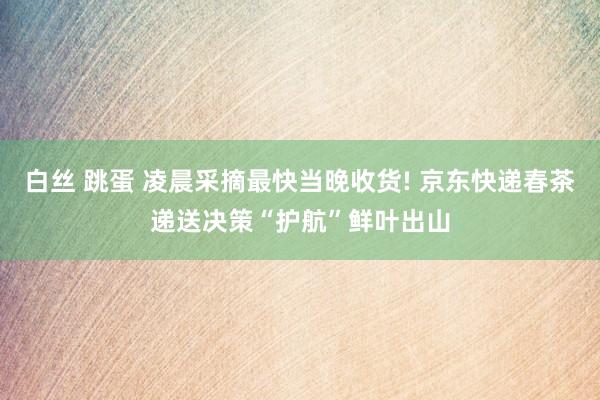 白丝 跳蛋 凌晨采摘最快当晚收货! 京东快递春茶递送决策“护航”鲜叶出山
