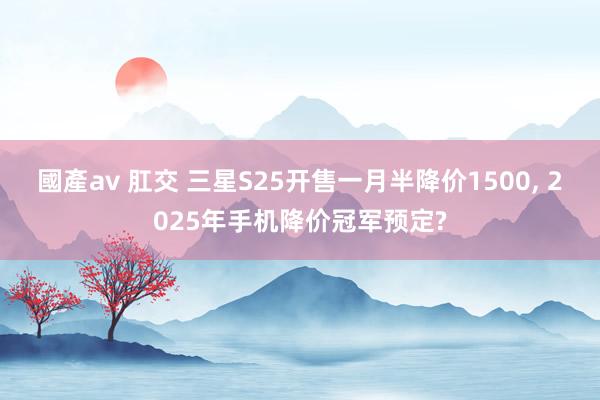 國產av 肛交 三星S25开售一月半降价1500， 2025年手机降价冠军预定?