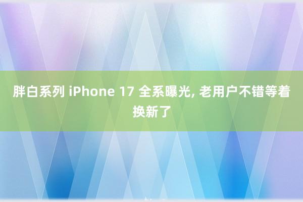 胖白系列 iPhone 17 全系曝光， 老用户不错等着换新了