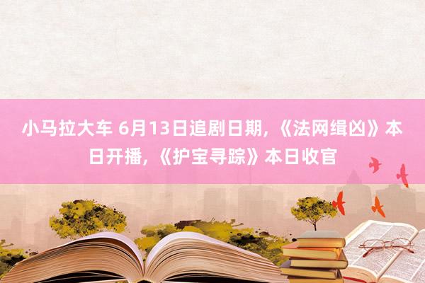 小马拉大车 6月13日追剧日期， 《法网缉凶》本日开播， 《护宝寻踪》本日收官