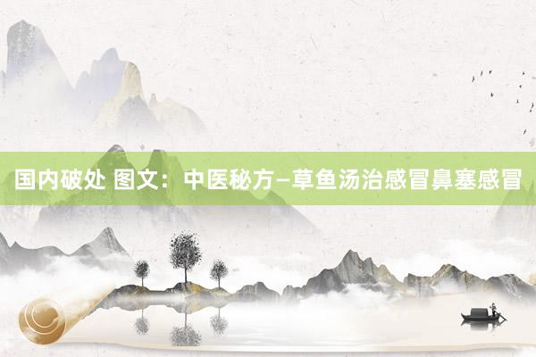 国内破处 图文：中医秘方—草鱼汤治感冒鼻塞感冒