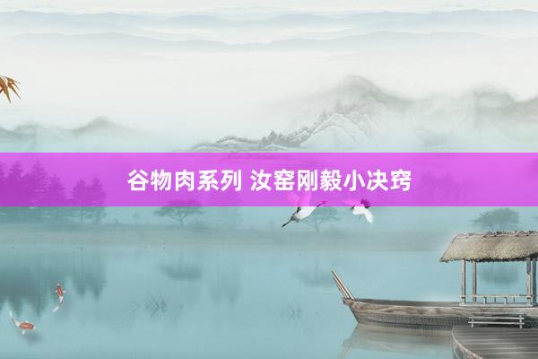 谷物肉系列 汝窑刚毅小决窍